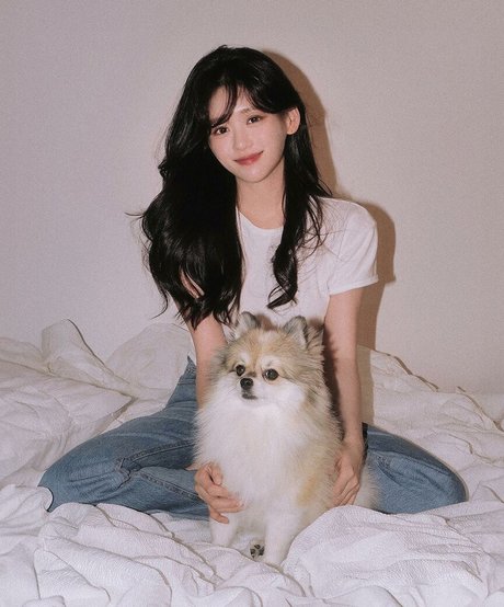 Solvely perfect star archive