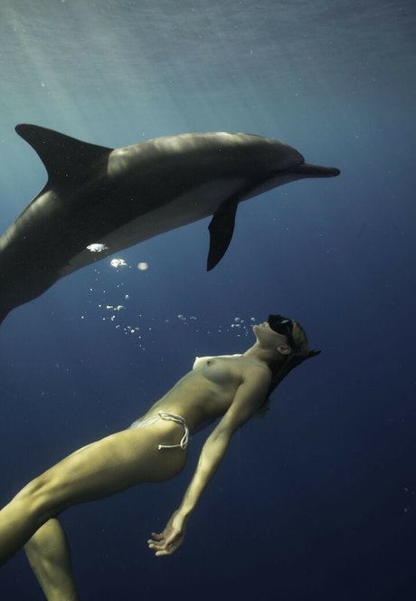 Katie Pentz star porn photos