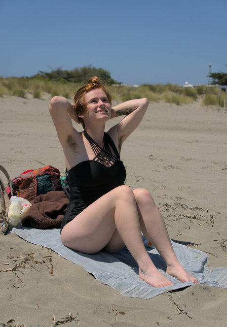 cinnamomum art pornstar pictures