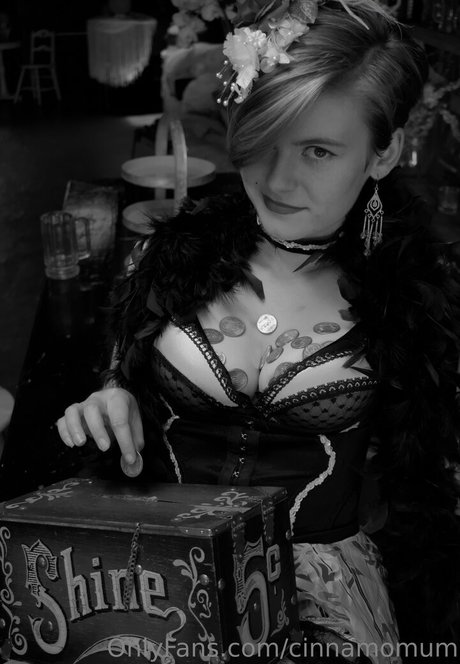 cinnamomum star beautiful archive