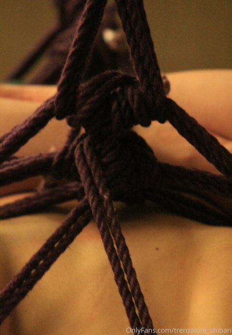 trenzalore shibari free star img