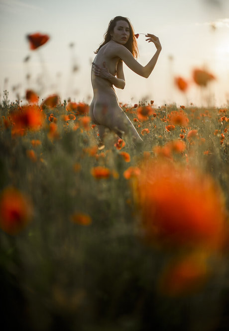 Just Marine pornstar xxx galleries