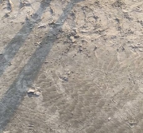 Bella Casada star archive