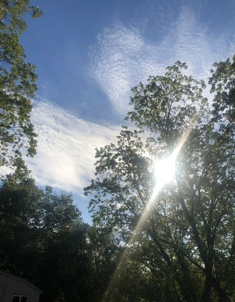 shemale big tits onlyfans sexy xxx pictures