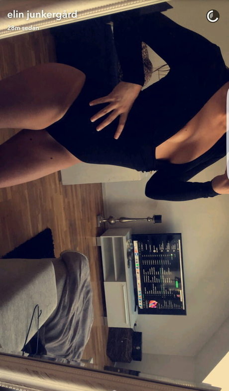 Elin Junkergard sexy actress pic