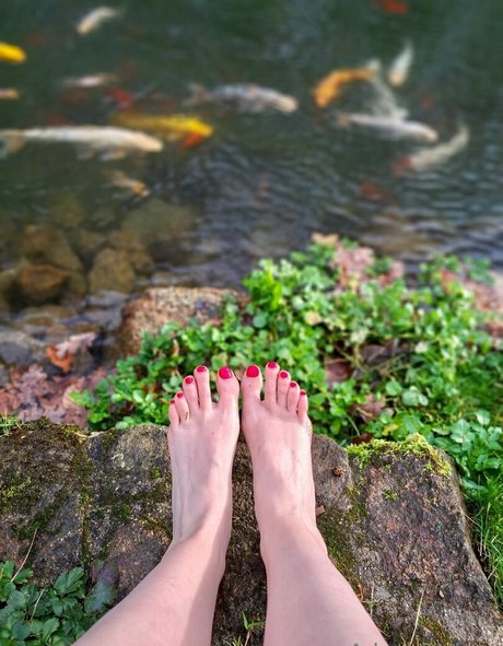 adashi hime model adult archive