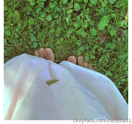 cedella01 star nice images