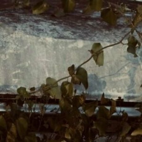 seriouslyzippy top actress img