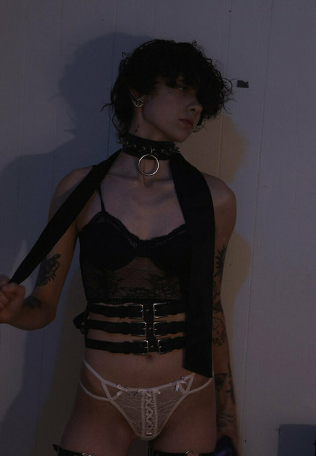 seriouslyzippy art pornstar archive