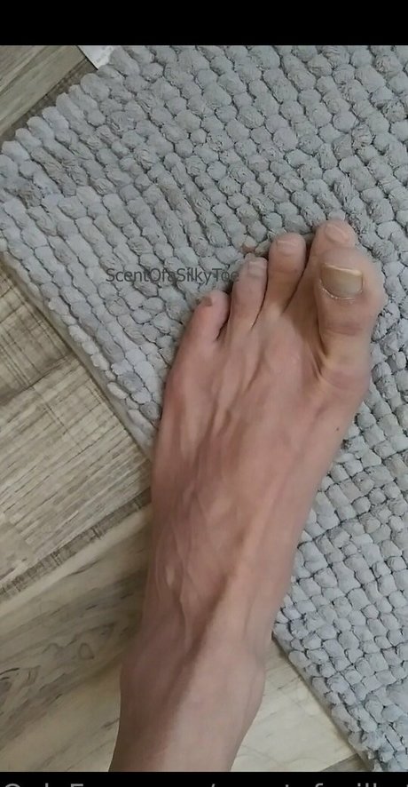 scentofasilkytoe pornstar pretty photo