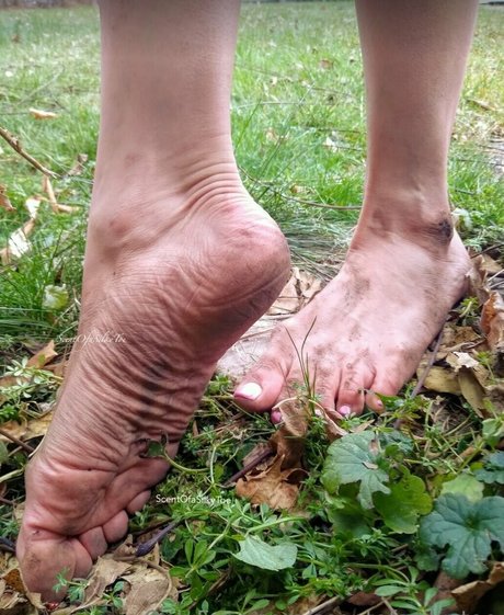 scentofasilkytoe erotic star picture