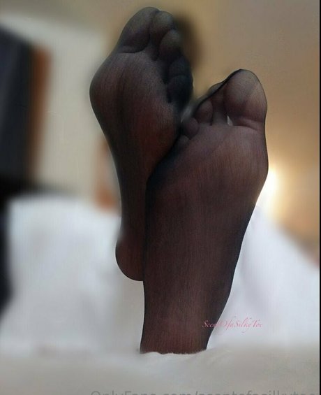 scentofasilkytoe star exclusive archive