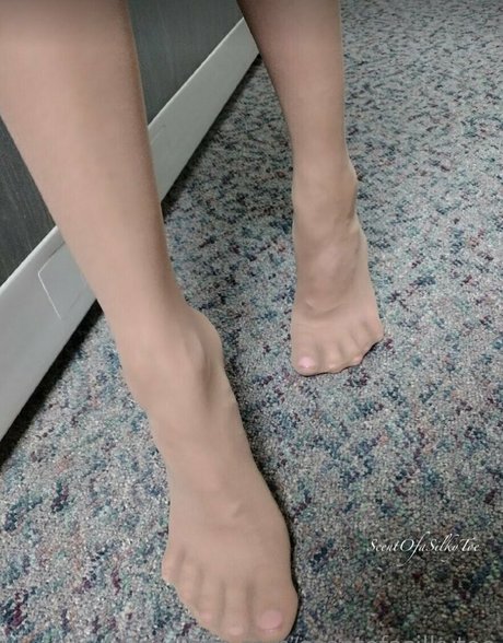 scentofasilkytoe sex pornstar pics
