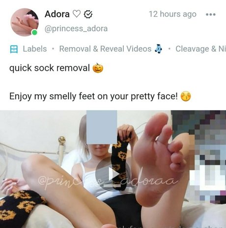 adoras shop nice star archive