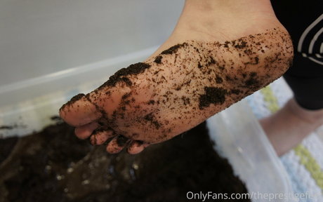 theprestigefeet perfect model image