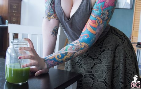 Vesta SG model archive