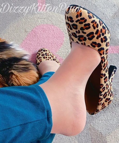 dizzykittenpaws beautiful model image