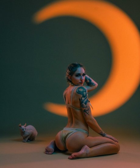 DanceZora art star pictures