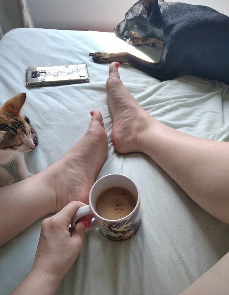 PamFeet model best photos