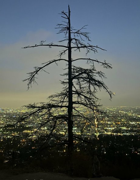 austinsummersnow model high quality gallery