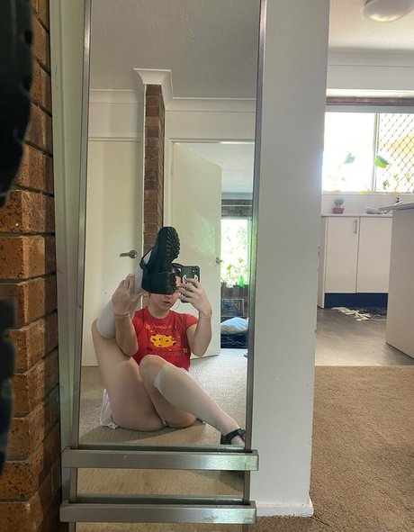 room1204 high quality pornstar archive