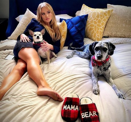 Tomi Lahren pornstar adult img