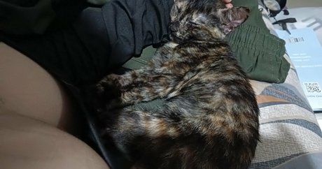 kittylunna model porn image