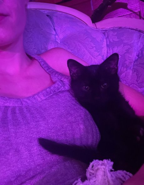 lola costa erotic model pic