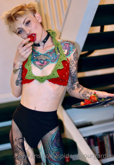 spiderinyourgarden exclusive star pictures