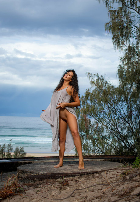 trans ebony onlyfans hot archive