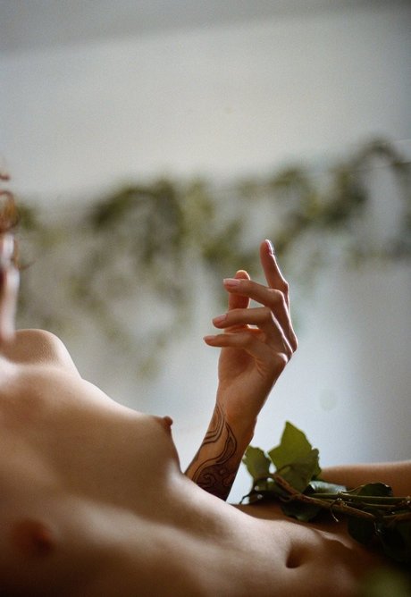 Heloisa Hecchio pornstar hd images