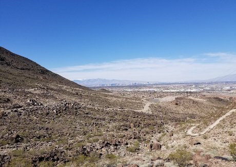 mialelanixxx actress image