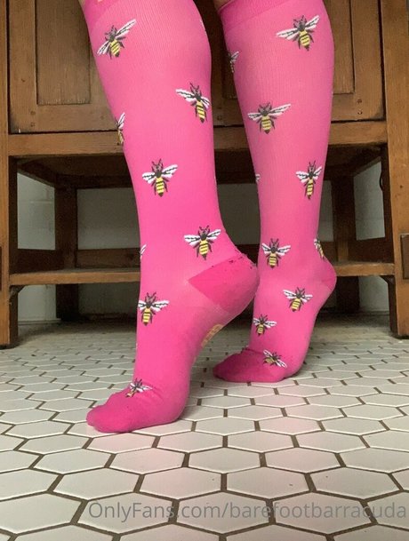 barefootbarracuda exclusive star images