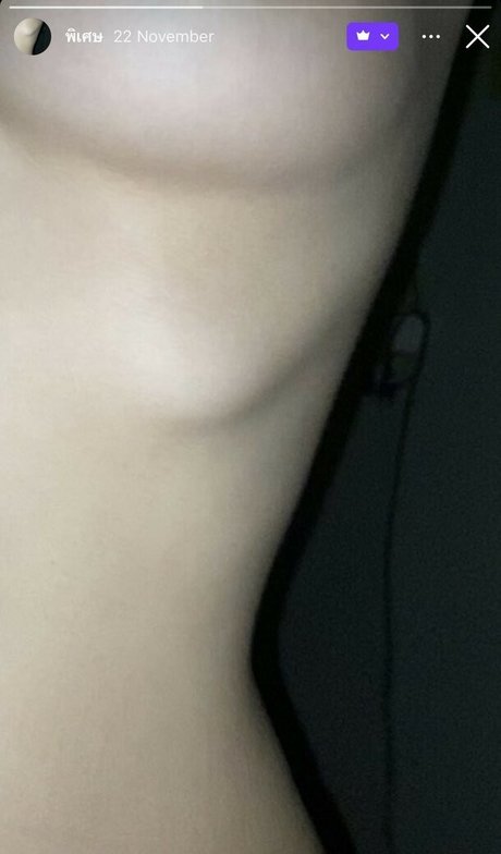 Nily 2004 art star archive