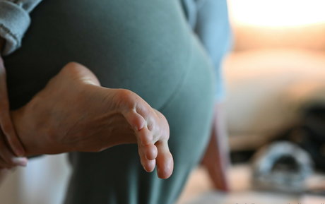 hellostroll star adult picture