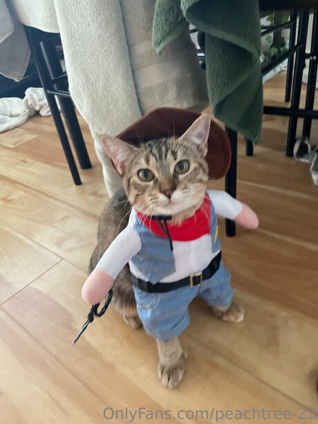 arab blowjob onlyfans sexy naked gallery