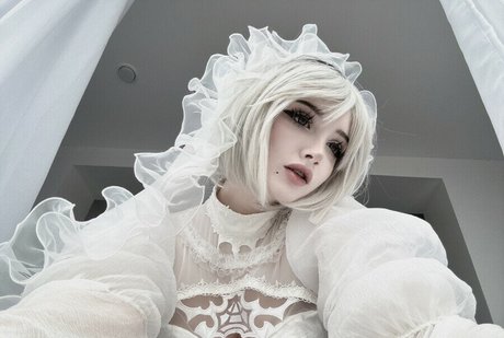 morphilina high quality star img