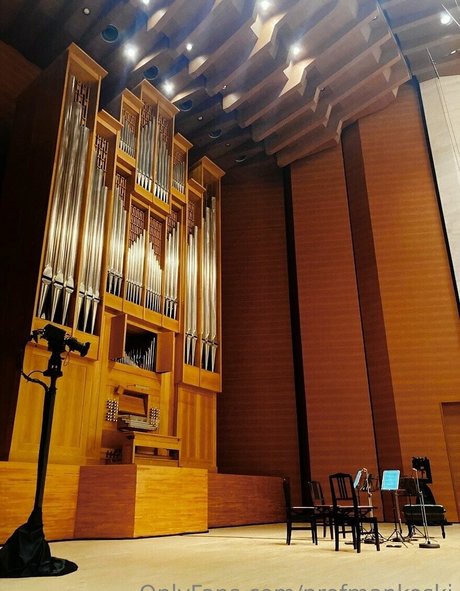 profmankoski pretty star archive