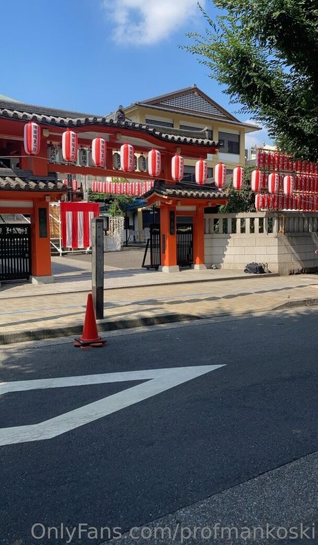 profmankoski star photos