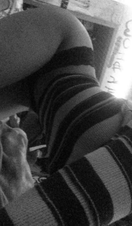 Gray Hawkes free model archive