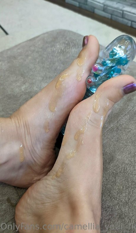 camellia home star free galleries