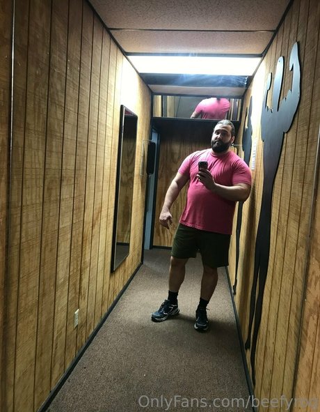 beefyrog star gallery