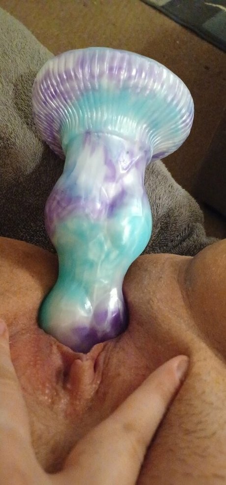 honeysteaa Profile pic