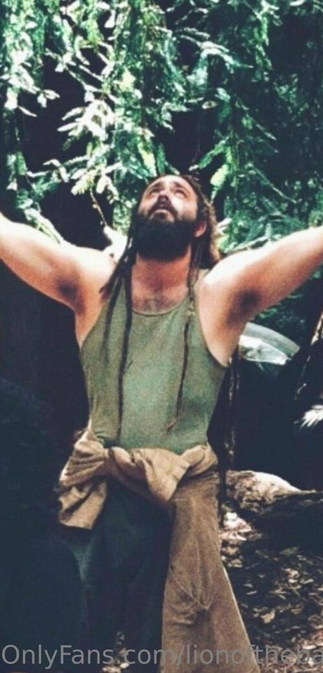 lionofthebay star hd picture