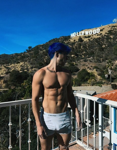 aedancarden art pornstar gallery