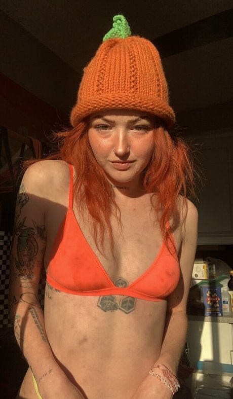 Indoor wilding star pretty pics