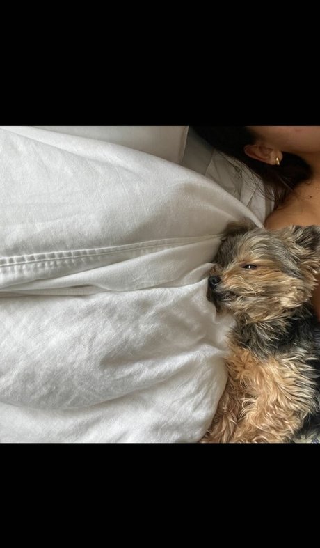 Izabella Alvarez nude actress pictures