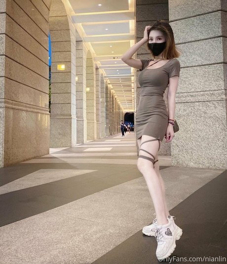 nianlin best model pictures