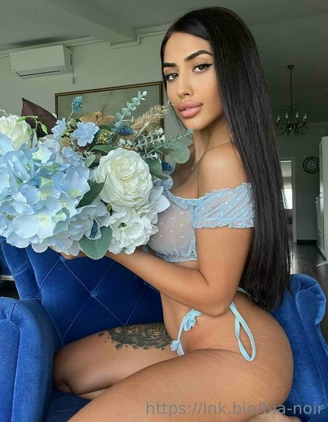 bianoir star nice galleries