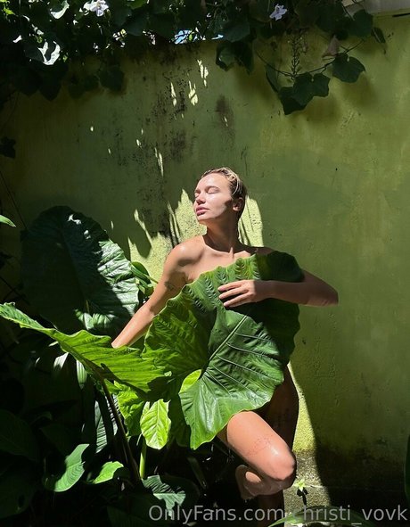 Christi Vovk actress pics